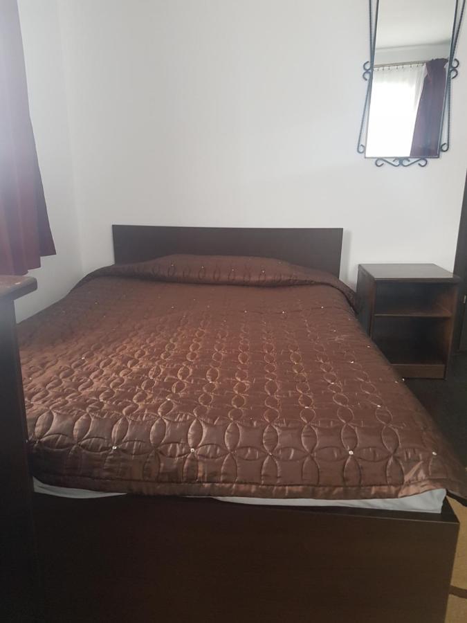 RădăuţiCasa David住宿加早餐旅馆 外观 照片